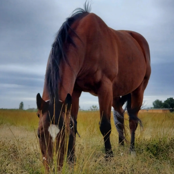 Overalls & Shortalls! - Picture 2 of 3
